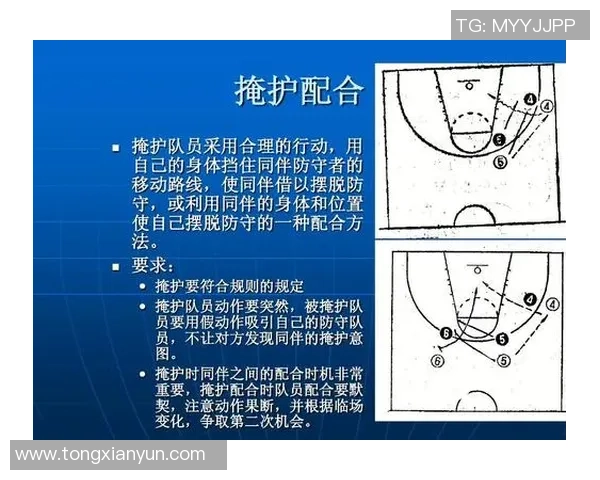 深度剖析深圳羽毛球队配合策略与战术对比分析 深度剖析深圳羽毛球队配合策略与战术对比分析