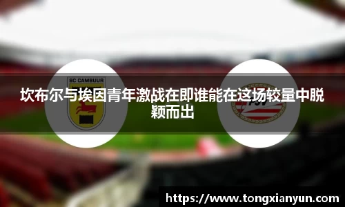 365(vip)英国上市官网